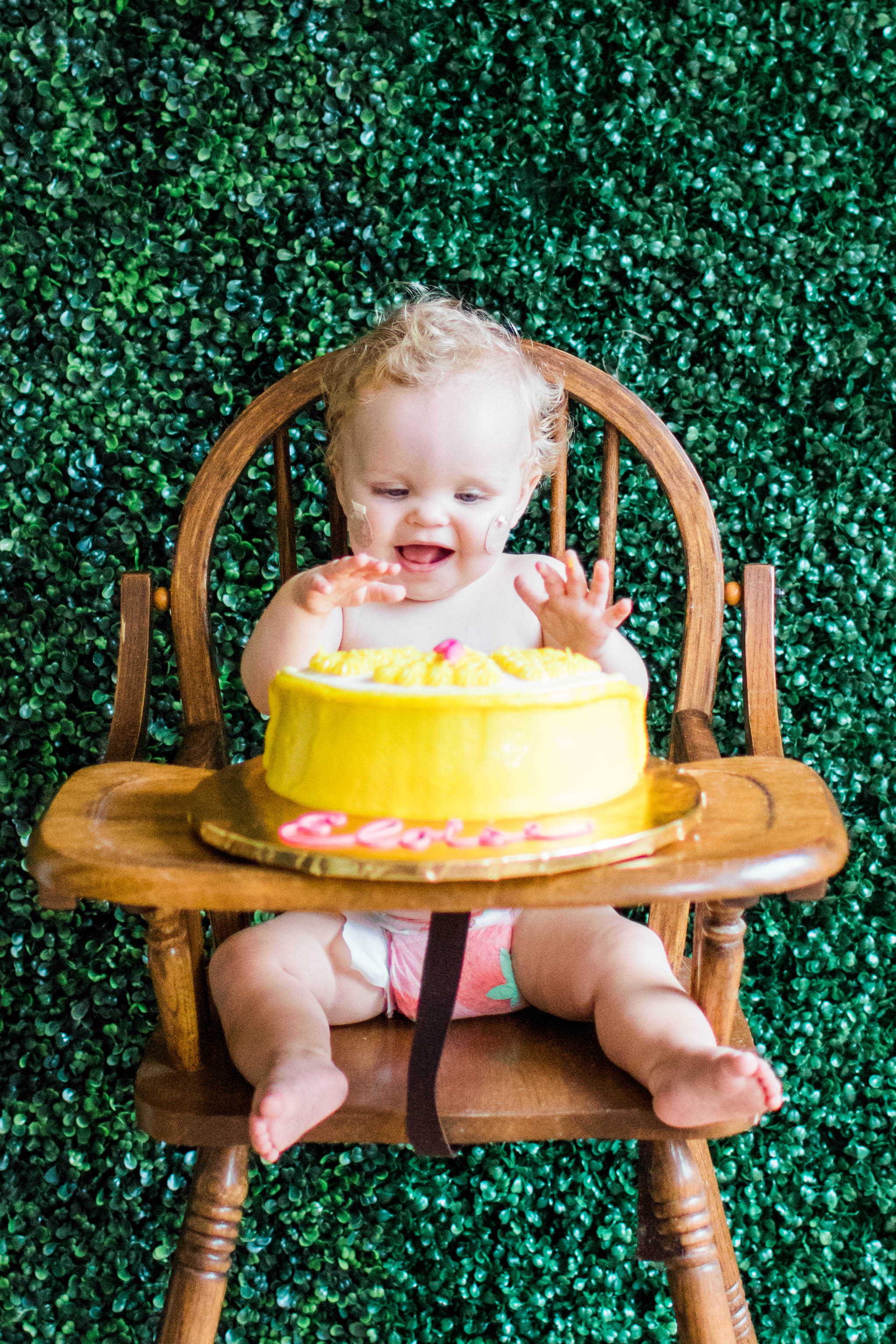Eloise's first birthday party-8009-2