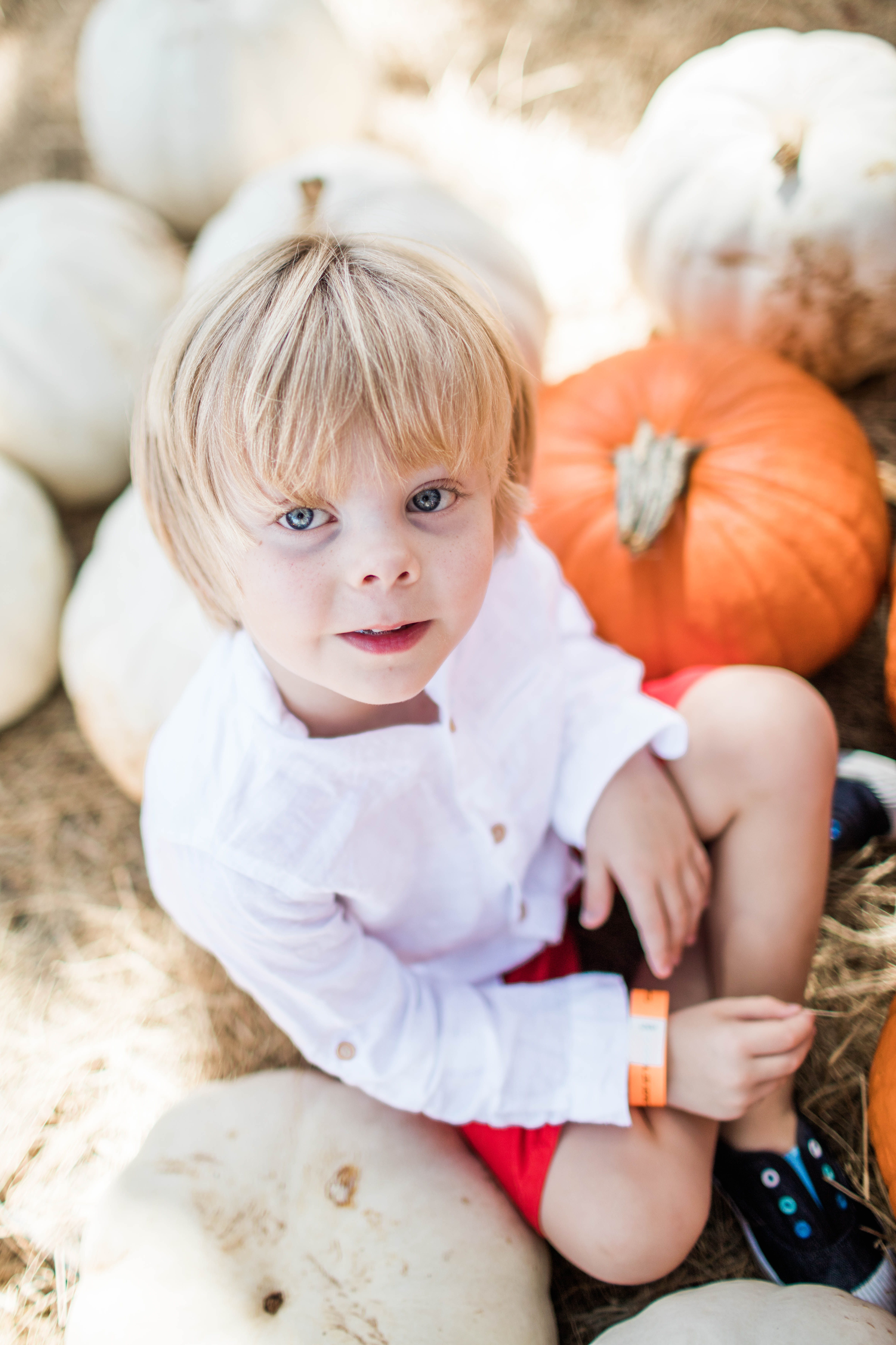 weiss club lake pumpkin patch 2018-3997